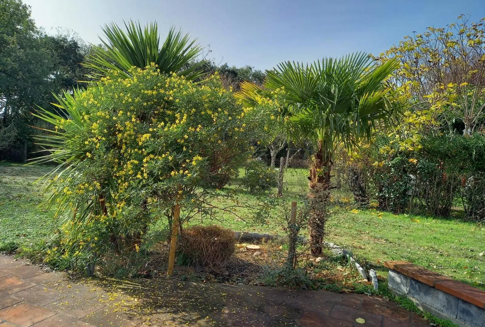Villa De Charme En Bois Avec Piscine Privee Calme Et Proche De Toulouse Pibrac